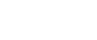 Dublin airport logo